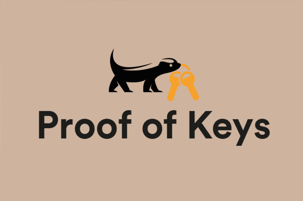 Qu’est-ce que la Proof of Keys ? post image