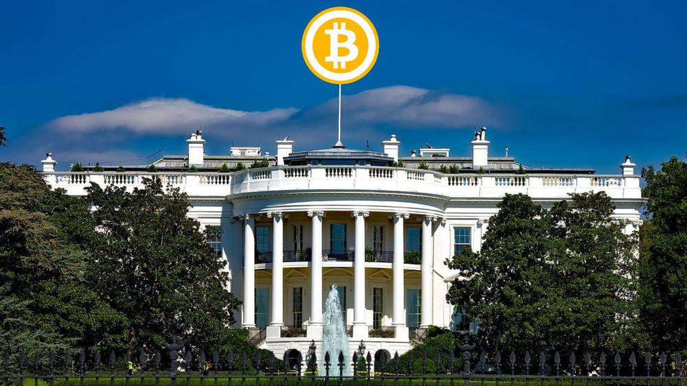 Elections US : qui portera Bitcoin à la Maison Blanche ? post image